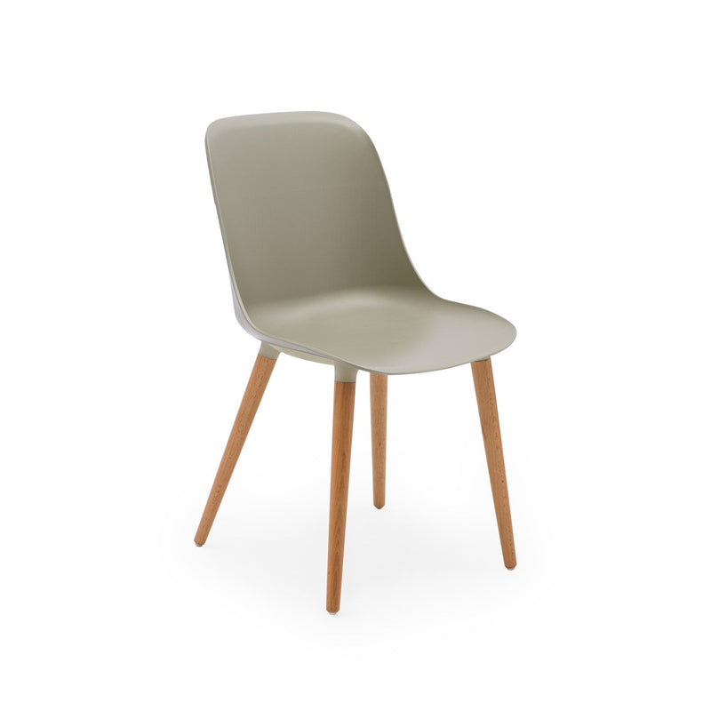 Tilia Shell-N Polipropilen Bahçe, Balkon, Kafe, Restoran Sandalye-zoom-