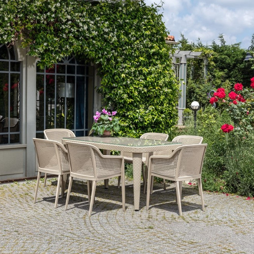 Tilia Octa Polipropilen Kollu Sandalye-5