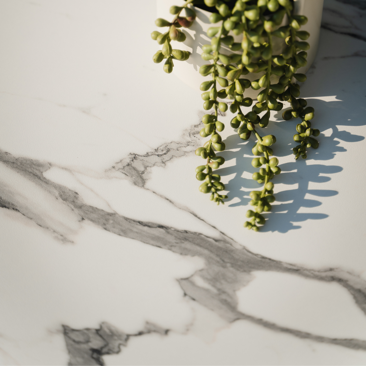 Tilia Moon-C Katlanır Bar Masası Ø60 cm-4