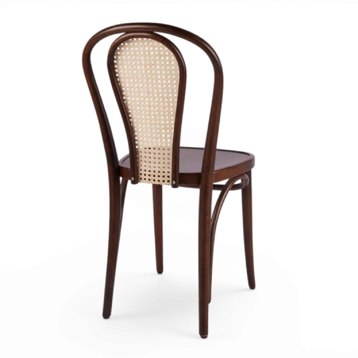 Kastra Jessica Hazeranlı Sırt Thonet Ahşap Sandalye-3