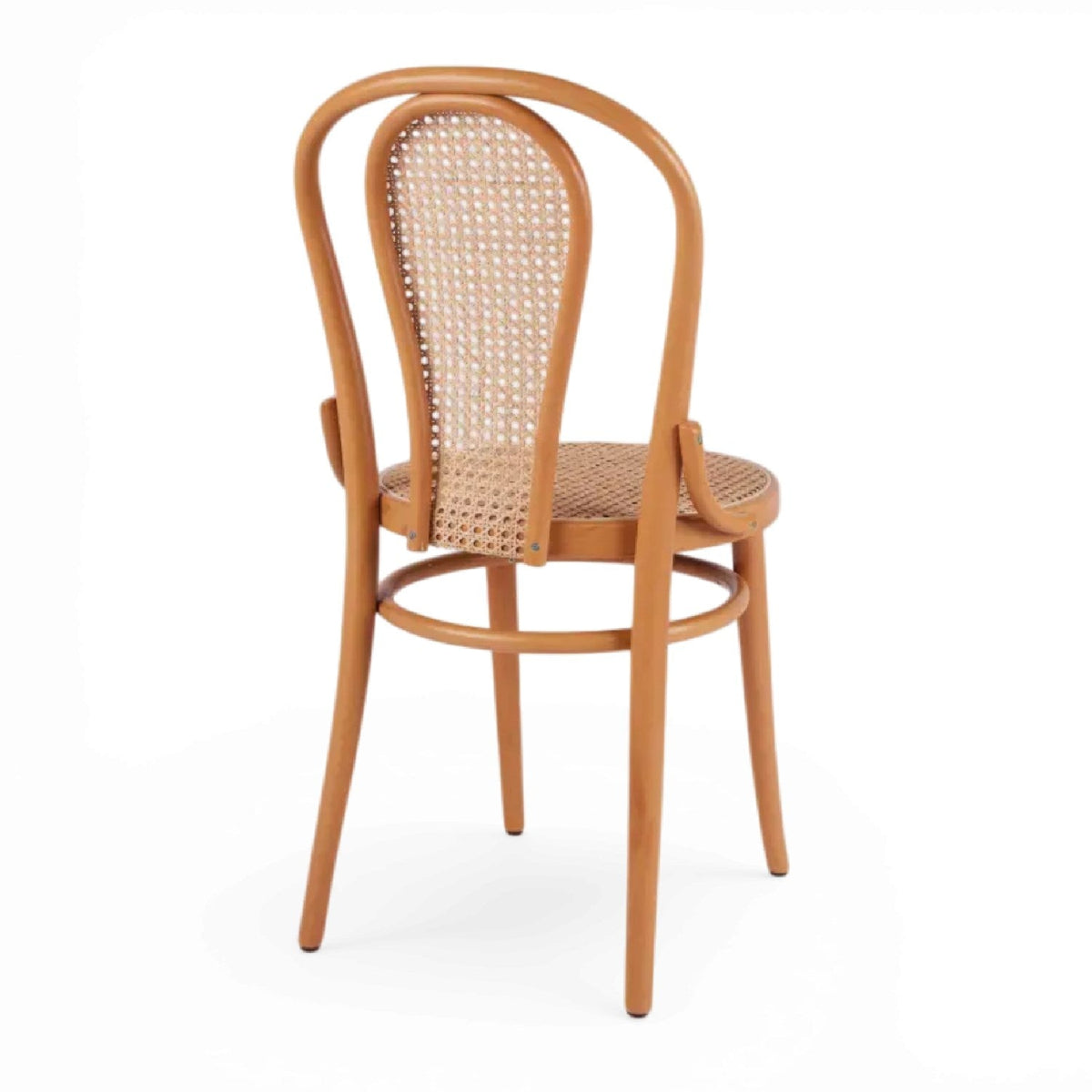 Kastra Loop Hazeran Oturum Thonet Ahşap Sandalye-2