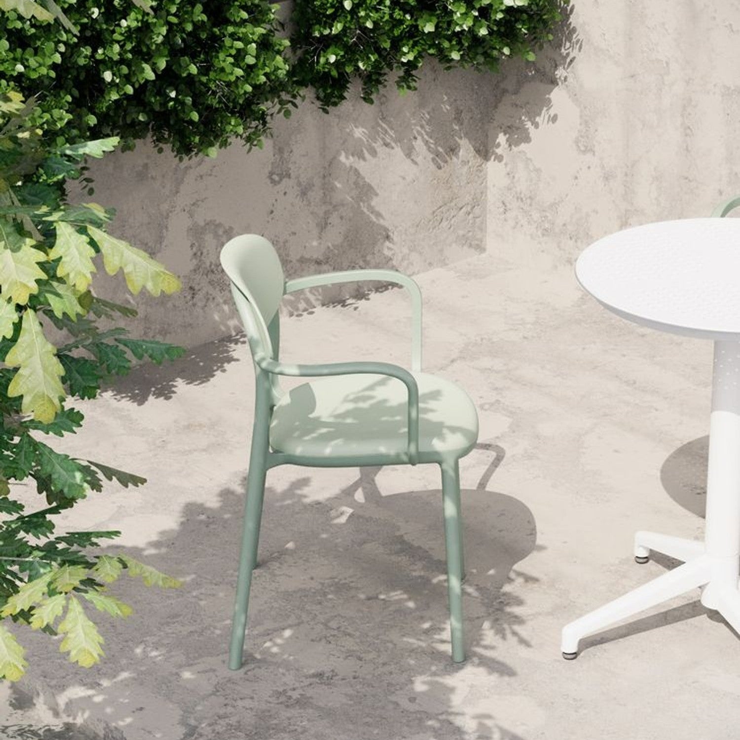 Tilia Ali Polipropilen Kollu Sandalye-6